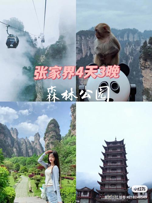 12月份去张家界景色好吗?张家界12月份天气温度是多少-图3 12月份去张家界景色好吗?张家界12月份天气温度是多少-图3