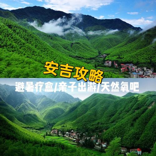 安吉10月适合穿什么?安吉12月份温度多少-图2 安吉10月适合穿什么?安吉12月份温度多少-图2