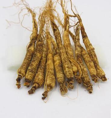 苍参和长白参哪个贵?吉林长白山多少钱-图2 苍参和长白参哪个贵?吉林长白山多少钱-图2