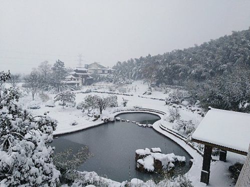 宜兴冬天适合去哪玩?宜兴 冬天 温度多少-图1 宜兴冬天适合去哪玩?宜兴 冬天 温度多少-图1