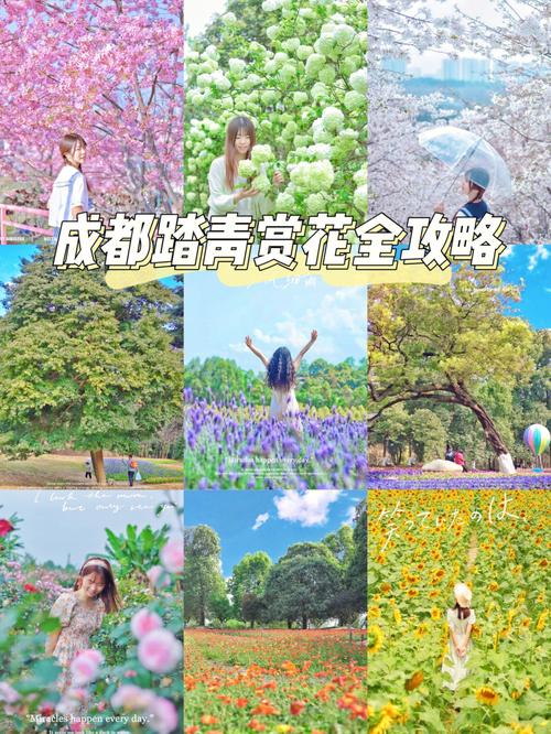 请问一下.三月初去成都.穿什么衣服合适?三月份的成都多少度-图3 请问一下.三月初去成都.穿什么衣服合适?三月份的成都多少度-图3