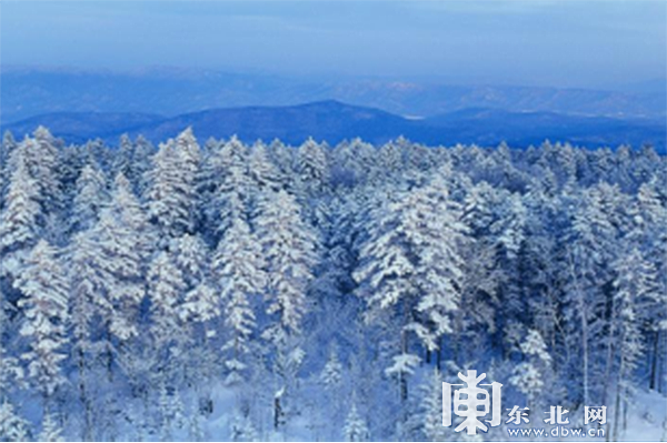 伊春冬季是不是很冷,大概多少度?伊春现在多少度-图2 伊春冬季是不是很冷,大概多少度?伊春现在多少度-图2