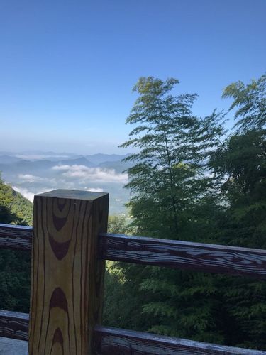 安吉夏天热吗?安吉冬季平均气温多少-图2 安吉夏天热吗?安吉冬季平均气温多少-图2