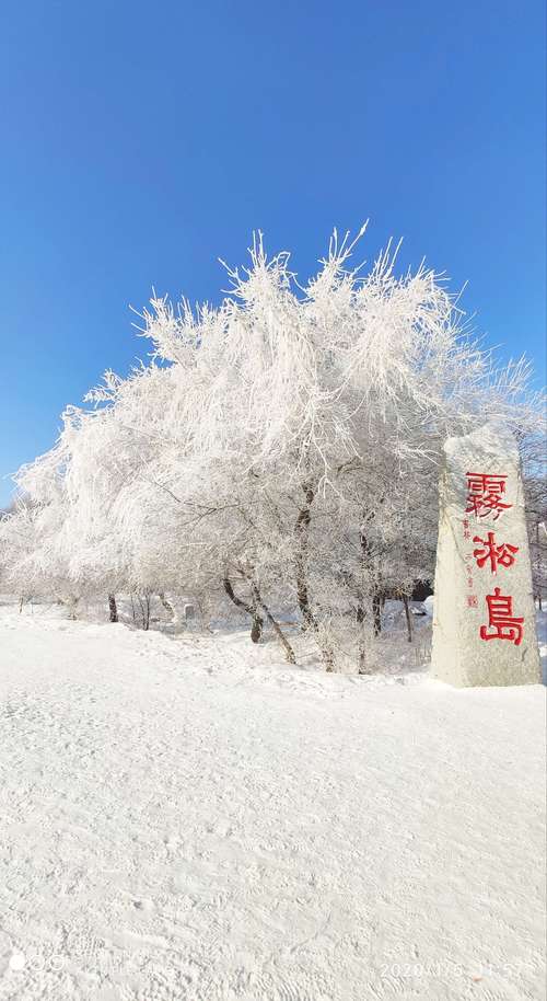 现在吉林有雾凇吗?明天温度是多少度吉林-图1 现在吉林有雾凇吗?明天温度是多少度吉林-图1