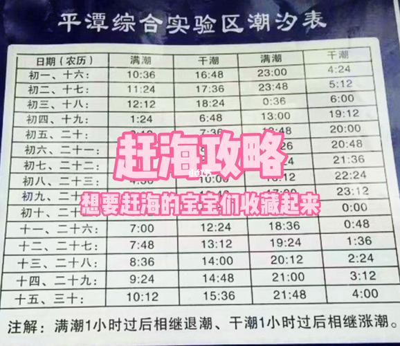 3月平潭岛穿什么衣服?明天平潭温度多少钱-图3 3月平潭岛穿什么衣服?明天平潭温度多少钱-图3