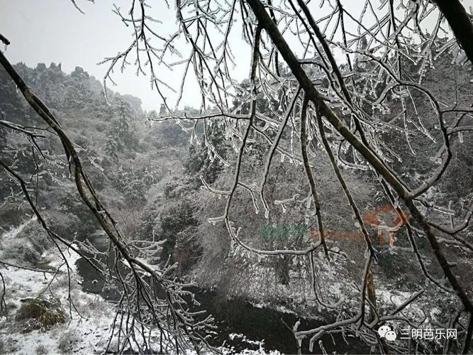 三明市下过最大的雪是那一年?三明市的年平均温度是多少-图3 三明市下过最大的雪是那一年?三明市的年平均温度是多少-图3