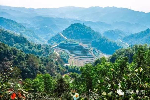 耒阳避暑的好地方?耒阳气温是多少-图3 耒阳避暑的好地方?耒阳气温是多少-图3