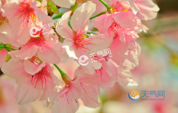 4月份是属于春天还是夏天?阳历4月气温是多少度-图2 4月份是属于春天还是夏天?阳历4月气温是多少度-图2