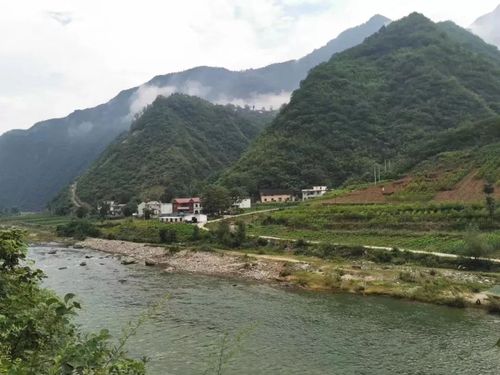 镇安至木王高速路哪年能修通？柴坪到镇安多少钱-图3
