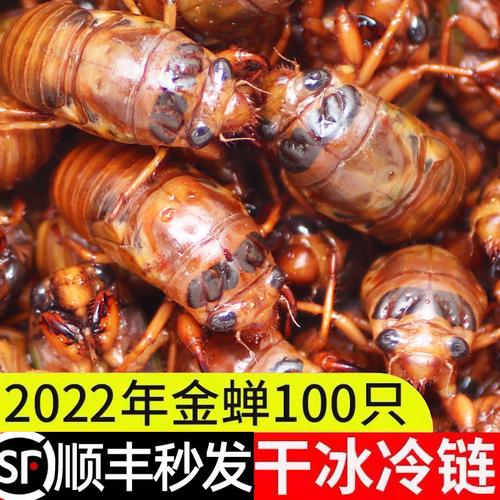 山东知了猴是什么?斑店打车到东平多少钱-图2 山东知了猴是什么?斑店打车到东平多少钱-图2