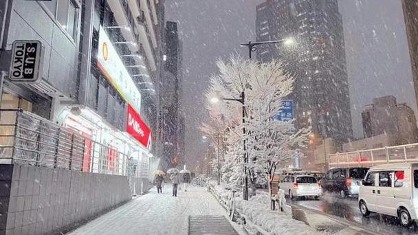 东京雪多吗?东京常年温度多少-图2 东京雪多吗?东京常年温度多少-图2