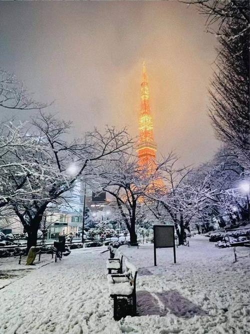 东京雪多吗?东京常年温度多少-图3 东京雪多吗?东京常年温度多少-图3