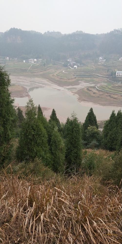 重庆开州区十大旅游景点?开县到敦家多少公里-图1 重庆开州区十大旅游景点?开县到敦家多少公里-图1