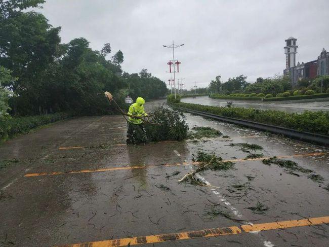 广东这次台风将受到影响吗?肇庆一年有多少阴雨天-图3 广东这次台风将受到影响吗?肇庆一年有多少阴雨天-图3