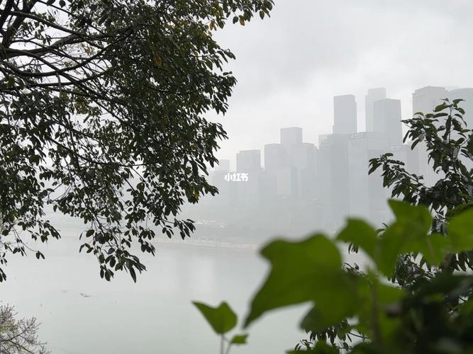 重庆一年有多少雨天?重庆年下雨天有多少-图2 重庆一年有多少雨天?重庆年下雨天有多少-图2