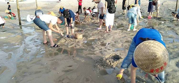 南湾赶海最佳地方?苏梅岛北纬多少度-图2 南湾赶海最佳地方?苏梅岛北纬多少度-图2