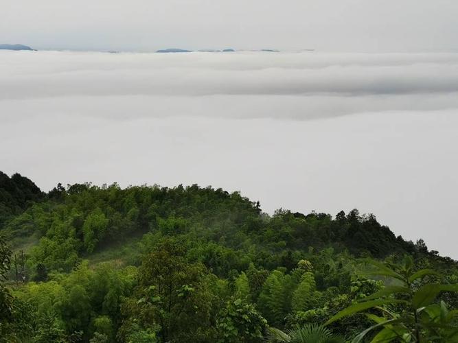 江津最高的山?江津明天温度是多少度-图2 江津最高的山?江津明天温度是多少度-图2