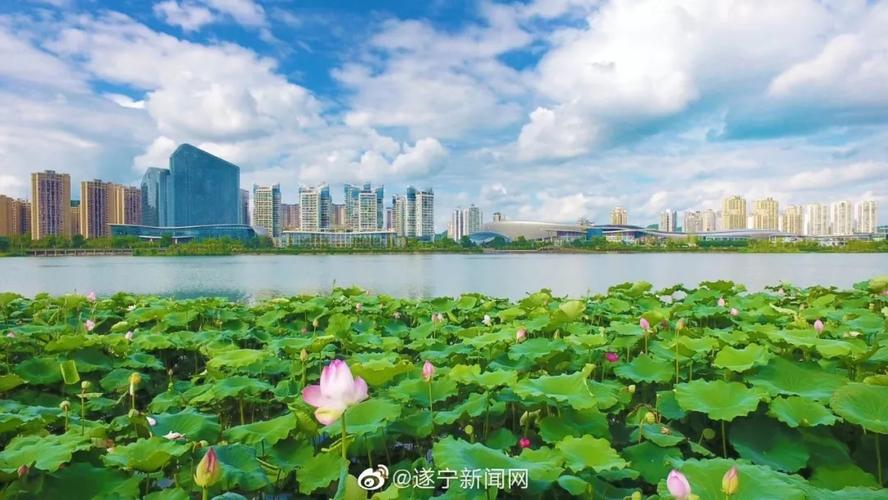 12月6号四川遂宁气温适合钓鱼吗?遂宁明天多少度-图2 12月6号四川遂宁气温适合钓鱼吗?遂宁明天多少度-图2