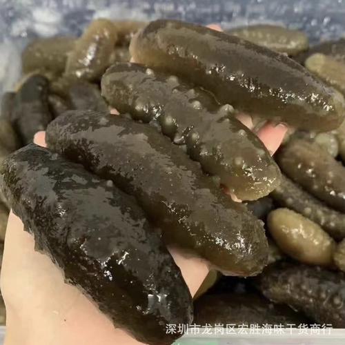 关西参和辽参的区别?日本茨城的温度多少-图1 关西参和辽参的区别?日本茨城的温度多少-图1