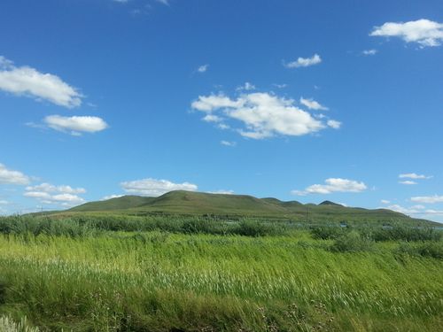 为什么草原地区沽源地方最凉快?沽源气温多少度-图3 为什么草原地区沽源地方最凉快?沽源气温多少度-图3
