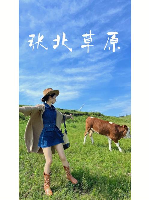 张北大曲?张北的气温是多少-图3 张北大曲?张北的气温是多少-图3