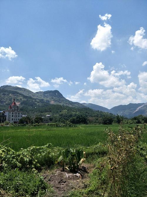 福建省福州市连江县蓼沿乡凤岩村豆腐山邮编是什么?连江去蓼沿多少-图1 福建省福州市连江县蓼沿乡凤岩村豆腐山邮编是什么?连江去蓼沿多少-图1