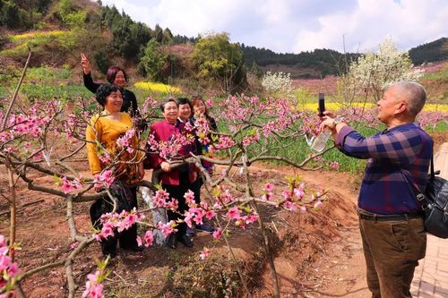 任隆桃花节介绍?蓬溪到任隆镇多少公里-图3 任隆桃花节介绍?蓬溪到任隆镇多少公里-图3