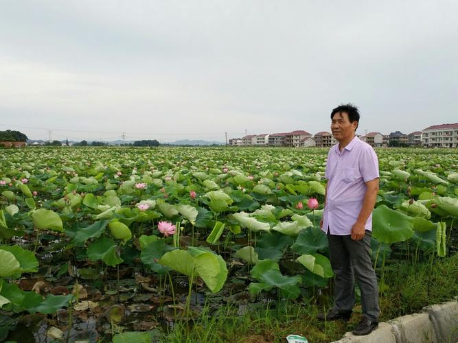 江西省鹰潭市余江县有什么镇?余江到平定多少公里-图2 江西省鹰潭市余江县有什么镇?余江到平定多少公里-图2