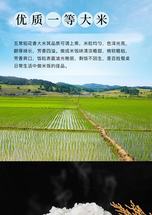 五常大米哪个牌子好?五常多少度-图2 五常大米哪个牌子好?五常多少度-图2
