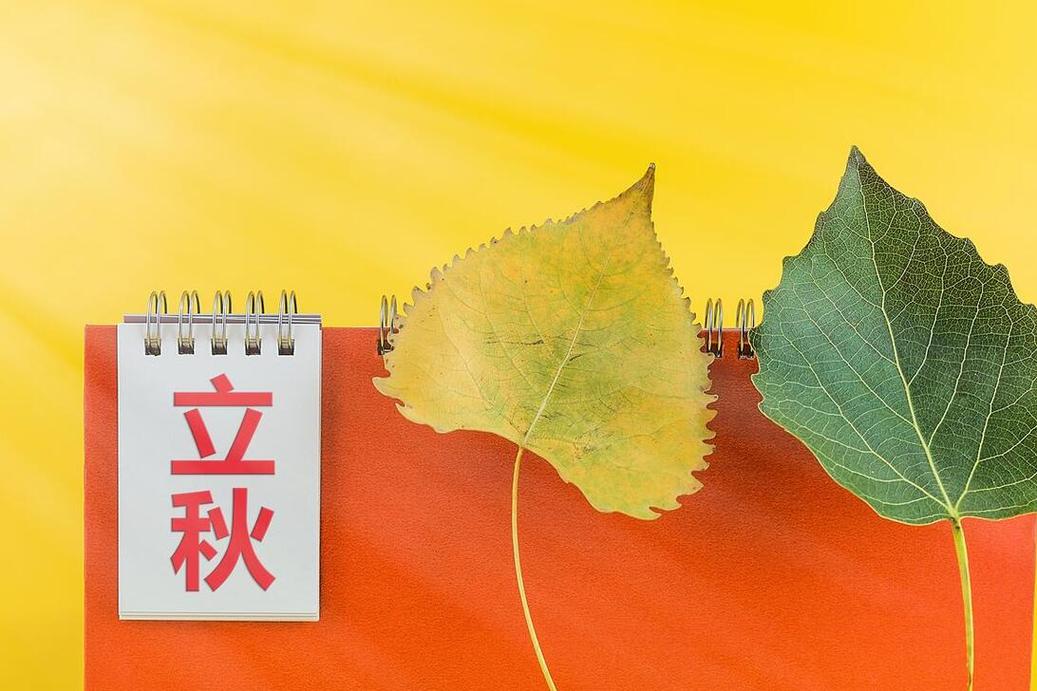 2023立秋后青岛还会潮湿吗?山东青岛气温是多少-图3 2023立秋后青岛还会潮湿吗?山东青岛气温是多少-图3