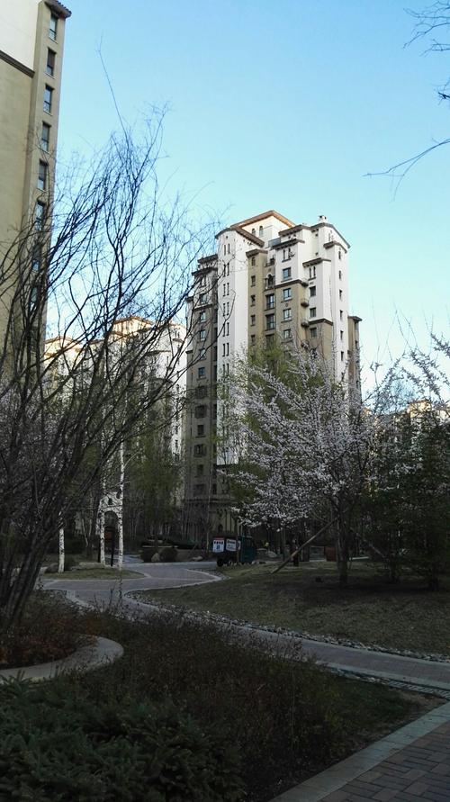 哈尔滨市南岗区王岗镇天气?哈尔滨的天气今天是多少-图1 哈尔滨市南岗区王岗镇天气?哈尔滨的天气今天是多少-图1