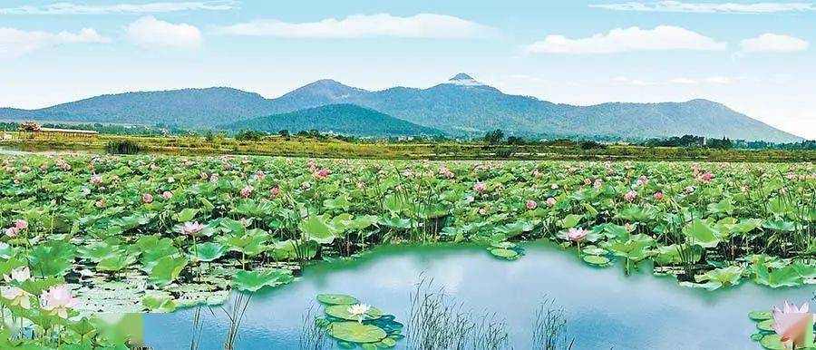 安徽避暑最佳旅游地?安徽含山三月二十八号气温多少-图1 安徽避暑最佳旅游地?安徽含山三月二十八号气温多少-图1