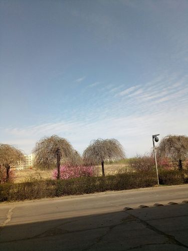 德惠市归长春管吗?长春市德惠市今天多少度-图2 德惠市归长春管吗?长春市德惠市今天多少度-图2