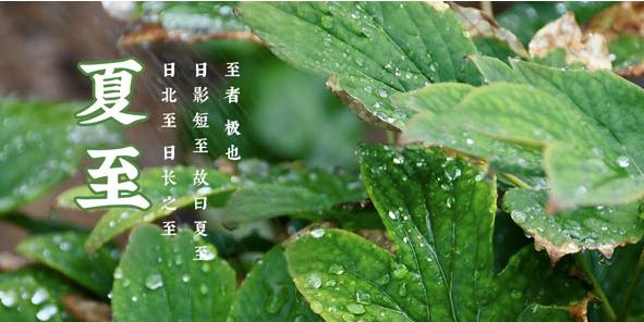 夏至一般下雨吗?夏至气温多少-图3 夏至一般下雨吗?夏至气温多少-图3