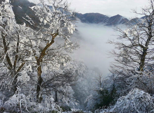 2022湖南邵阳会下雪吗?湖南武冈明天多少度-图3 2022湖南邵阳会下雪吗?湖南武冈明天多少度-图3