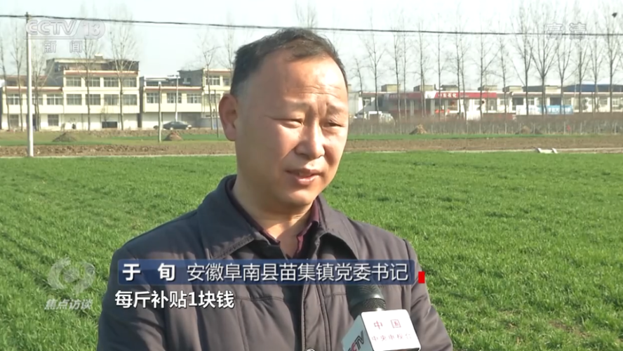 阜阳有多少个乡镇?阜南打车到苗集多少钱-图3 阜阳有多少个乡镇?阜南打车到苗集多少钱-图3