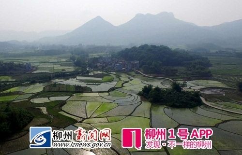请问:柳州市融安县有多少个乡镇?浮石到桥板有多少公里-图1 请问:柳州市融安县有多少个乡镇?浮石到桥板有多少公里-图1