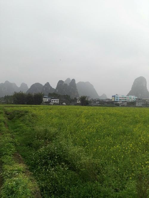 广西来宾的海拔是多少?今天武宣县气压是多少-图2 广西来宾的海拔是多少?今天武宣县气压是多少-图2