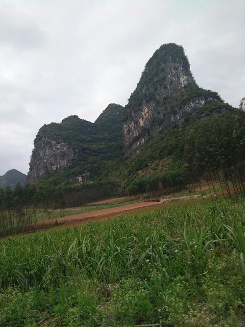 广西来宾的海拔是多少?今天武宣县气压是多少-图1 广西来宾的海拔是多少?今天武宣县气压是多少-图1