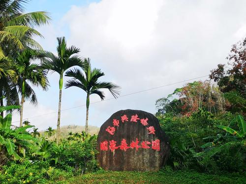 海南兴隆气候优缺点?兴隆多少度-图1 海南兴隆气候优缺点?兴隆多少度-图1