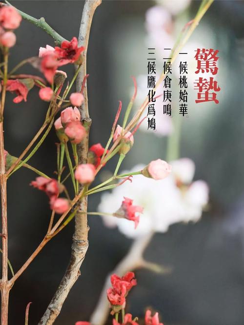 惊蛰冷不冷?惊蛰一般气温多少-图3 惊蛰冷不冷?惊蛰一般气温多少-图3