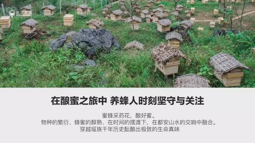 7到8月份有些什么蜜源?广西7 8月多少度-图2 7到8月份有些什么蜜源?广西7 8月多少度-图2