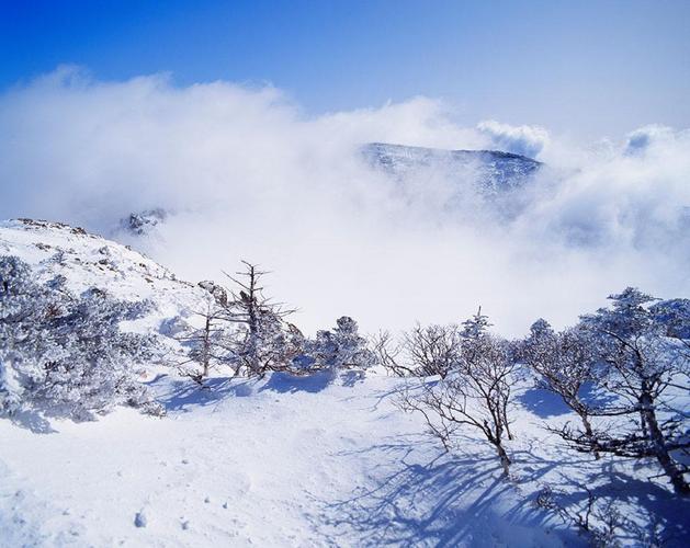 四川降温最快的地方?五一西岭雪山温度多少-图1 四川降温最快的地方?五一西岭雪山温度多少-图1