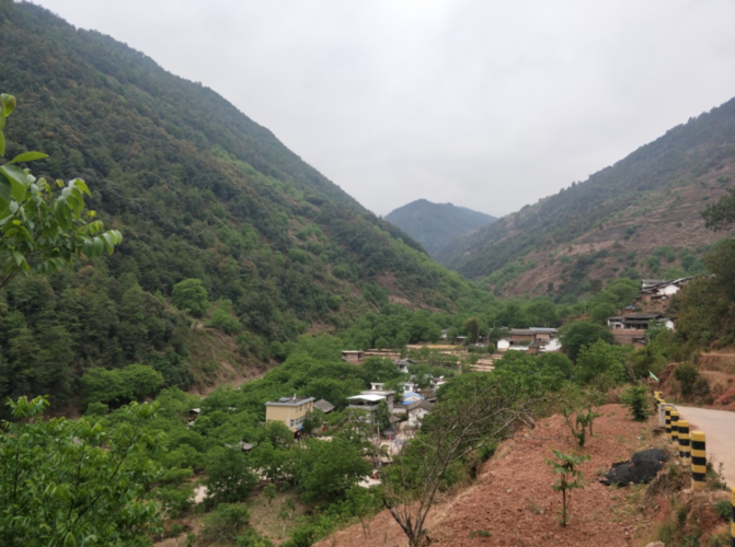 大姚附近有哪几个县?大姚到桂花多少钱-图3 大姚附近有哪几个县?大姚到桂花多少钱-图3