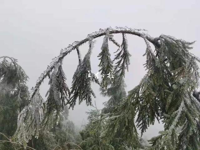 龙泉驿山上下雪了吗?2017龙泉驿优良天气多少天-图3 龙泉驿山上下雪了吗?2017龙泉驿优良天气多少天-图3