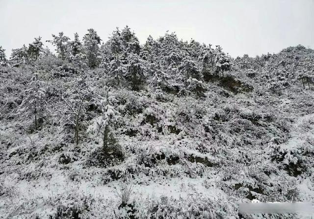龙泉驿山上下雪了吗?2017龙泉驿优良天气多少天-图2 龙泉驿山上下雪了吗?2017龙泉驿优良天气多少天-图2