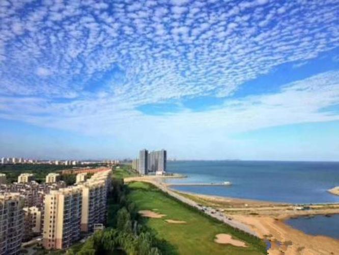 山东龙口海景房为什么没人住?山东烟台龙口市今天多少度-图1 山东龙口海景房为什么没人住?山东烟台龙口市今天多少度-图1