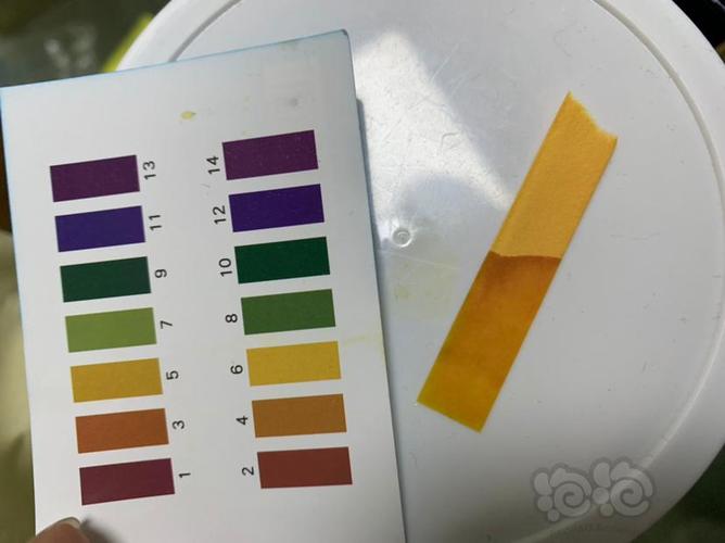 天津自来水PH值是多少?天津ph水质是多少-图1 天津自来水PH值是多少?天津ph水质是多少-图1