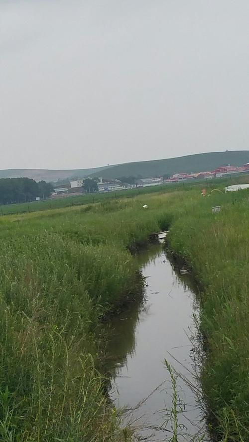 一般的地窖的温度有多少度?张家口沽源县明天多少度什么天气-图2 一般的地窖的温度有多少度?张家口沽源县明天多少度什么天气-图2