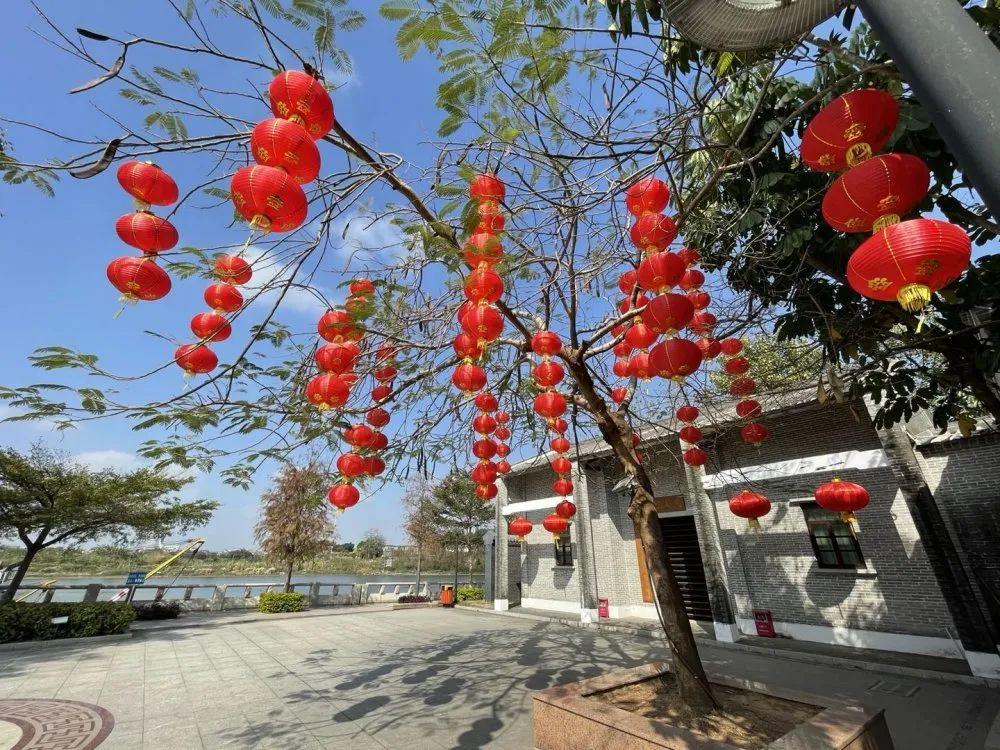 阳江春节最佳去处?广东阳江春节多少度-图1 阳江春节最佳去处?广东阳江春节多少度-图1